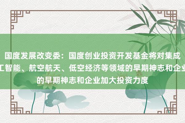 国度发展改变委：国度创业投资开发基金将对集成电路、东谈主工智能、航空航天、低空经济等领域的早期神志和企业加大投资力度